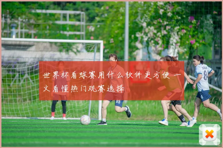 世界杯看球赛用什么软件更方便 一文看懂热门观赛选择
