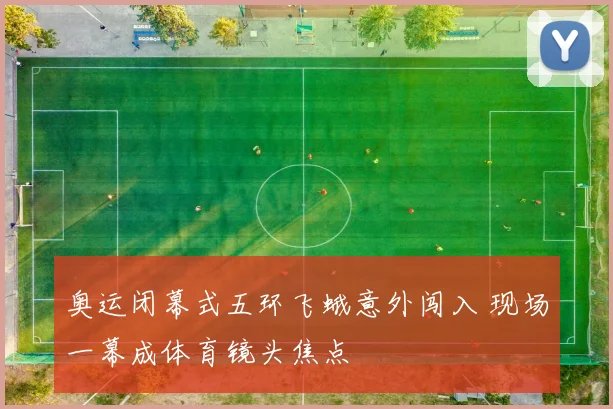 奥运闭幕式五环飞蛾意外闯入 现场一幕成体育镜头焦点