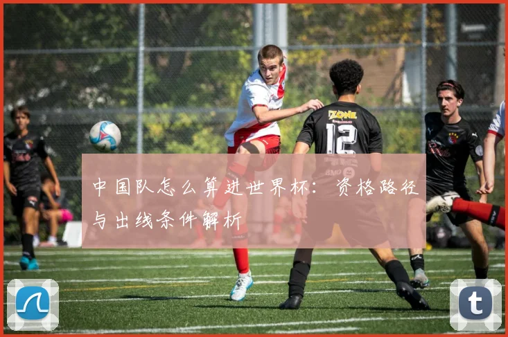 中国队怎么算进世界杯：资格路径与出线条件解析