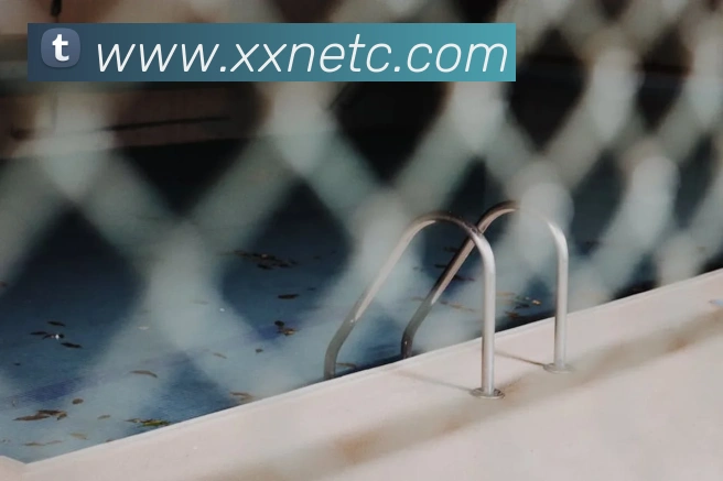 App Interface Preview