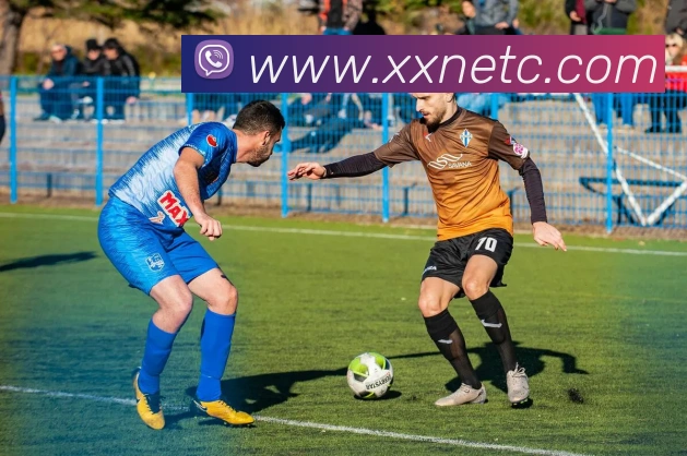 米兰官方网站入口APP 封面图